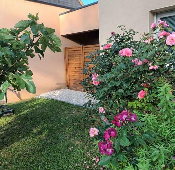 住宿加早餐 Chasseport