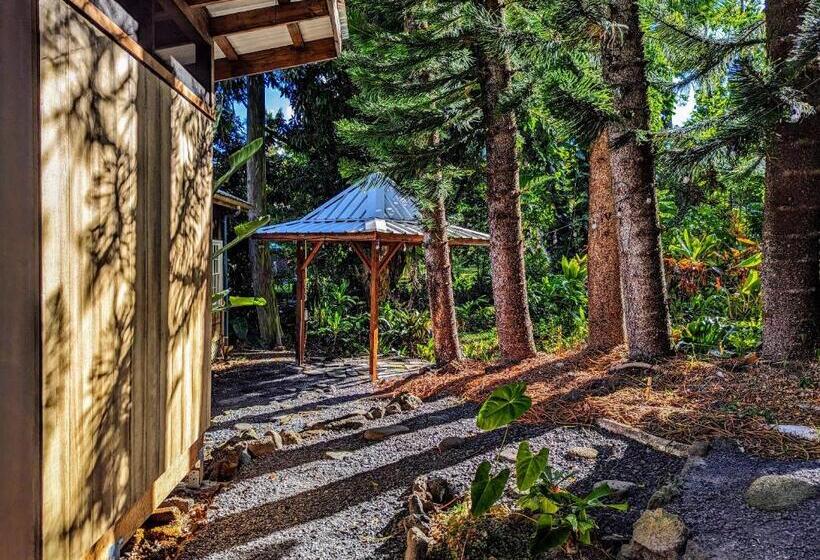 مبيت وإفطار Kehena Mauka Nui Club Lgbtqia+ Clothing Optional