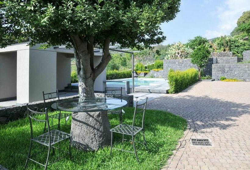 Bed and Breakfast La Casa Dell Alloro