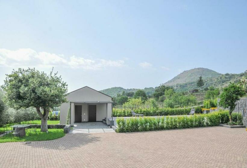 Bed and Breakfast La Casa Dell Alloro