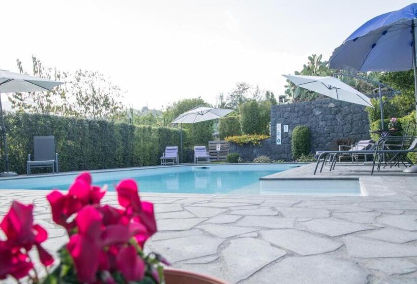 Bed and Breakfast La Casa Dell Alloro