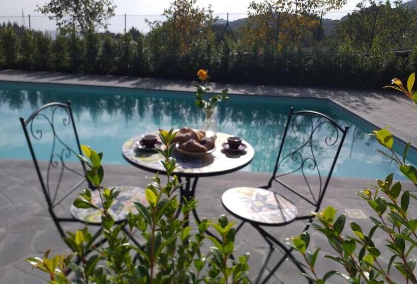 Bed and Breakfast La Casa Dell Alloro