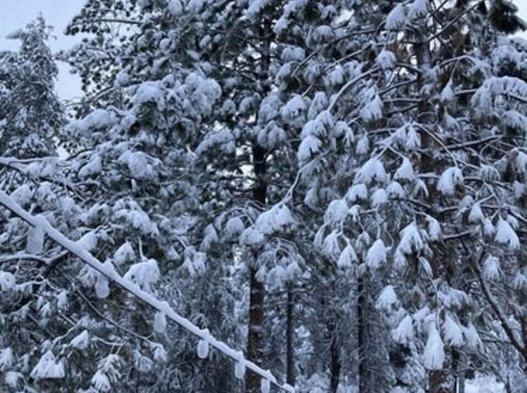 ベッドアンドブレックファースト The Old Bear Bnb