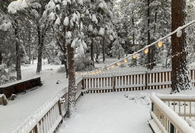 ベッドアンドブレックファースト The Old Bear Bnb