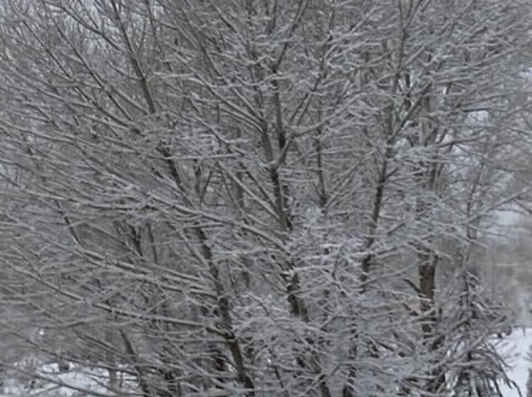 ベッドアンドブレックファースト The Old Bear Bnb