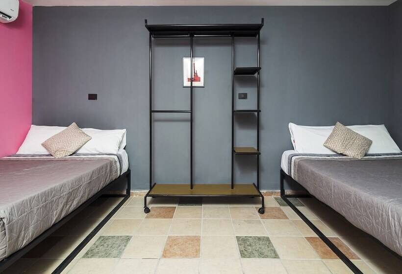 Отель Adhoc Cintermex