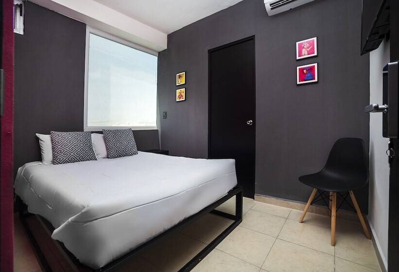 Отель Adhoc Cintermex