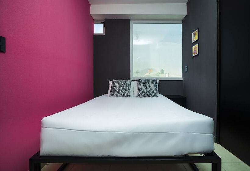 Отель Adhoc Cintermex