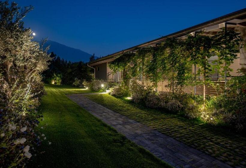 هتل Arcolive Agrisuite