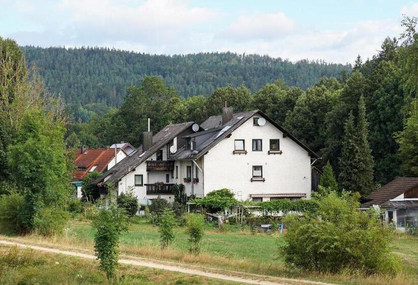 Отель Bellas Mühlbachtal