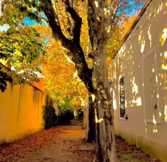 호텔 Boutique Villa Rosarito