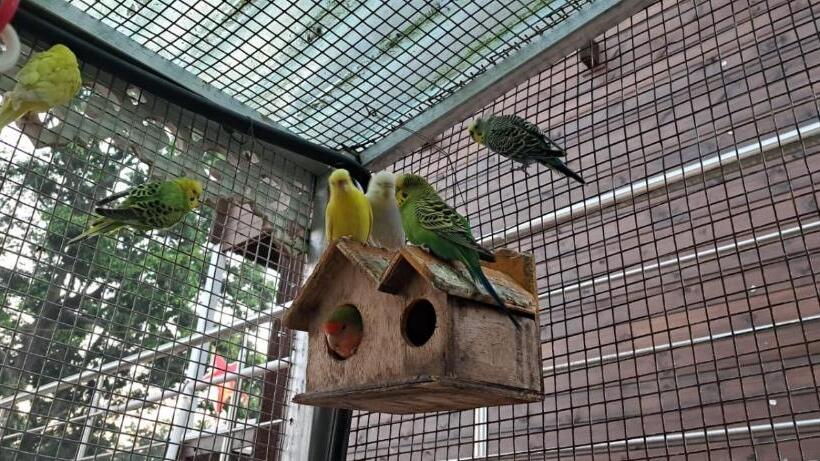 فندق Coastal Bay Inn By Gemstone Hospitality