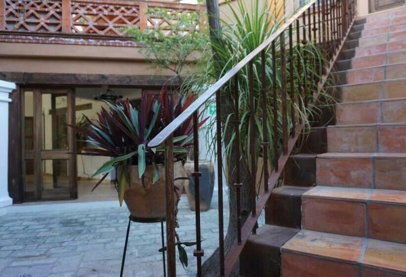 Отель Alojamiento Jalatlaco   Car Rental! Estacionamiento En La Calle Sujeto A Disponibilidad