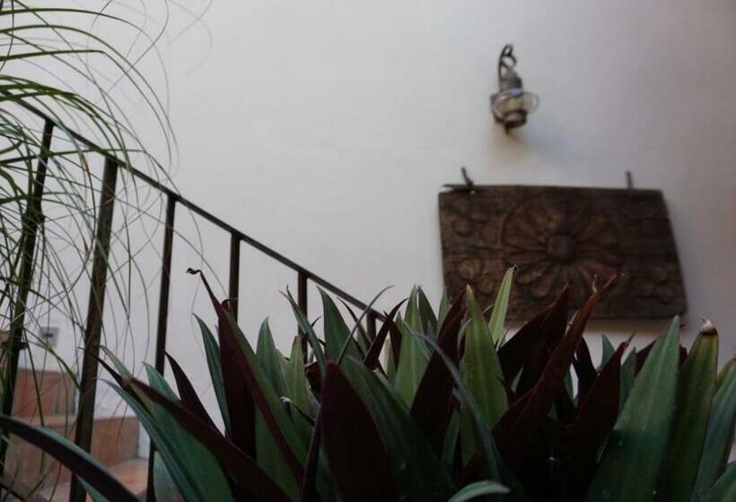 Отель Alojamiento Jalatlaco   Car Rental! Estacionamiento En La Calle Sujeto A Disponibilidad