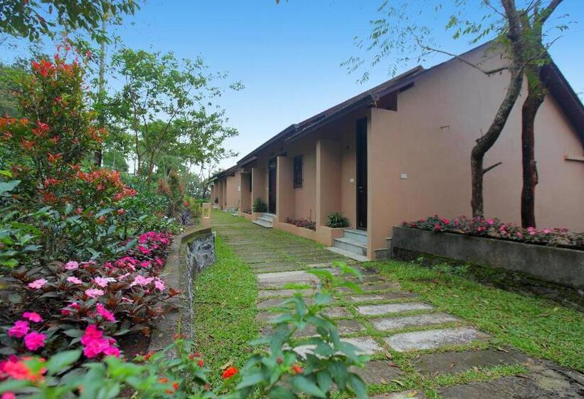 Отель Tea Terrain Resorts & Spa