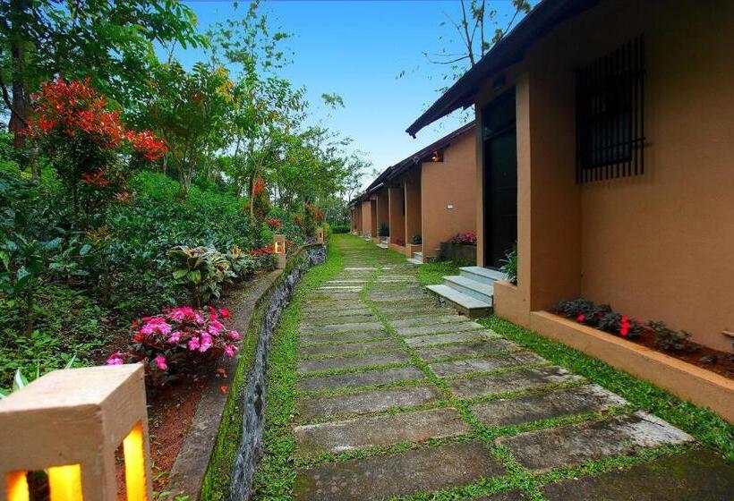 Отель Tea Terrain Resorts & Spa