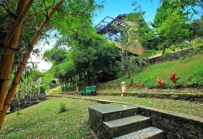 Отель Tea Terrain Resorts & Spa