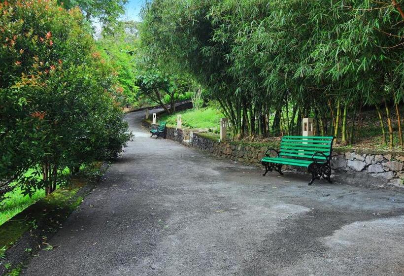 Отель Tea Terrain Resorts & Spa