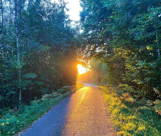 Killeröd Boutique Apartments