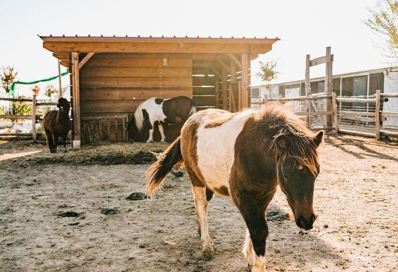 La Tenuta Di Santo Stefano Agri Resort & Spa