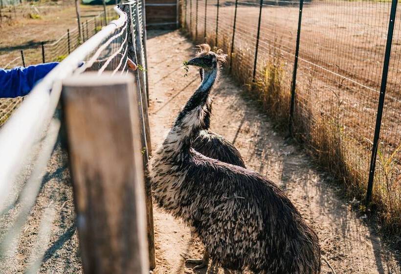 La Tenuta Di Santo Stefano Agri Resort & Spa