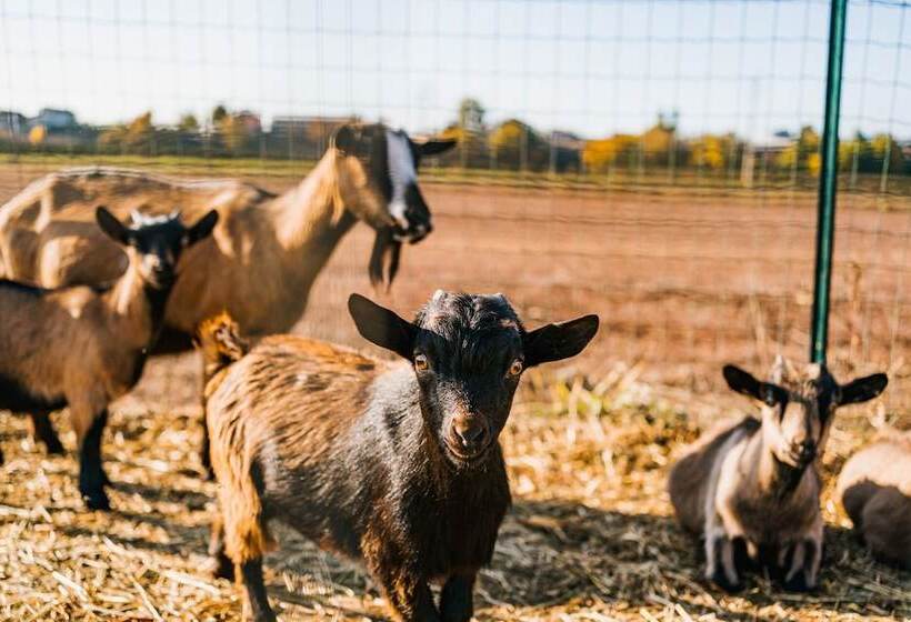 La Tenuta Di Santo Stefano Agri Resort & Spa