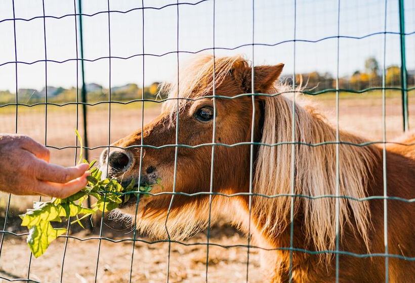 La Tenuta Di Santo Stefano Agri Resort & Spa