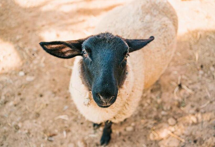 La Tenuta Di Santo Stefano Agri Resort & Spa