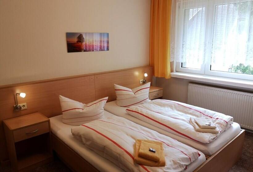 بنسيون Gästehaus Tanne Des Dgd E.v