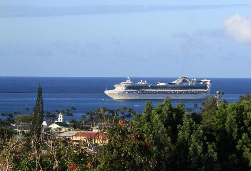 פנסיון Guest House In Hilo