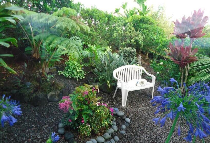 פנסיון Guest House In Hilo