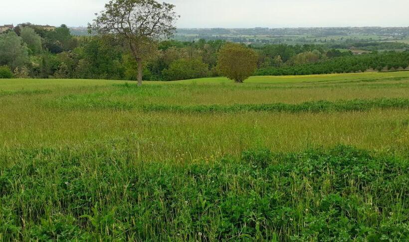 膳宿费 La Casa Di Roby 2 Studio La Morra, Con Piscina