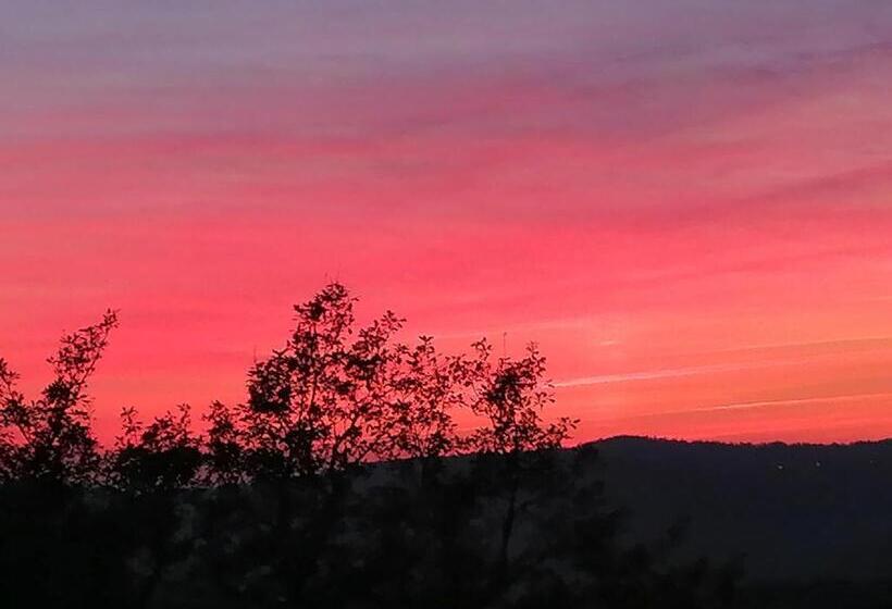 Пансион Lapausedegout Piscine Chambres Climatisées Terrasse Ou Patio