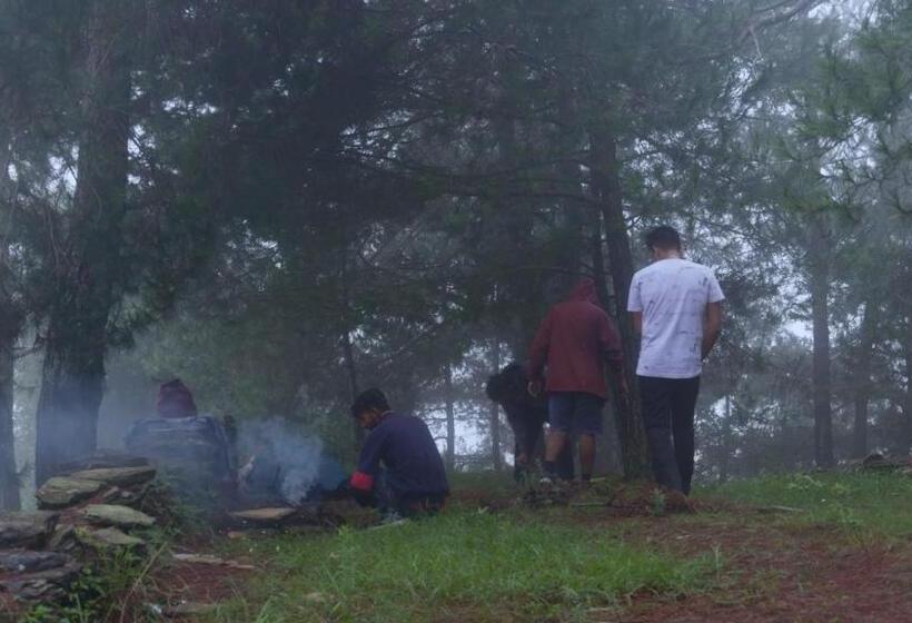 بنسيون Tatva Veda Homestay & Hostel