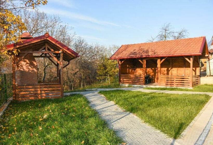 פנסיון Tomis House