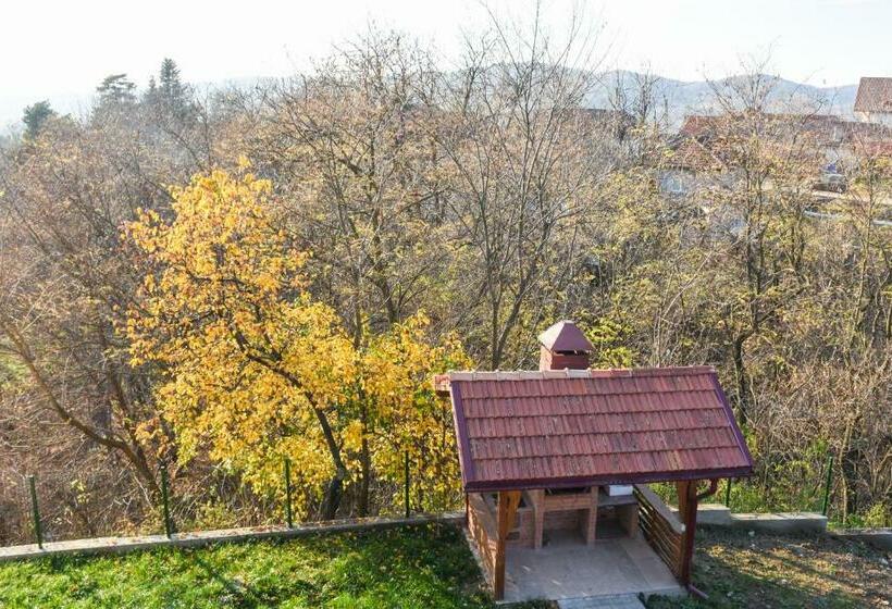 פנסיון Tomis House