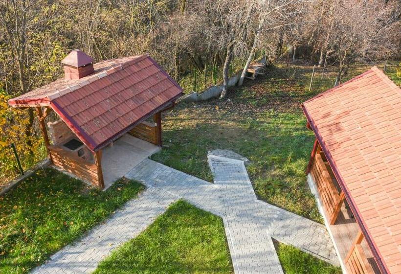 פנסיון Tomis House