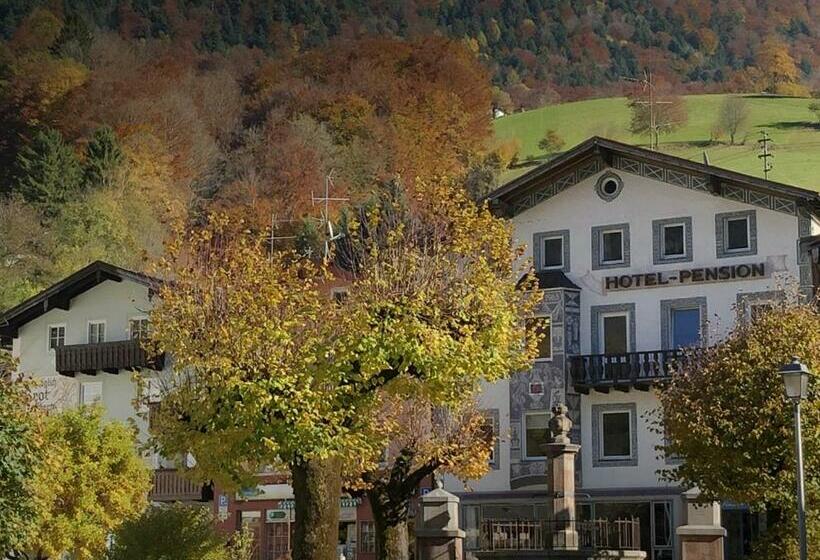 Pension Und Ferienwohnung Frech