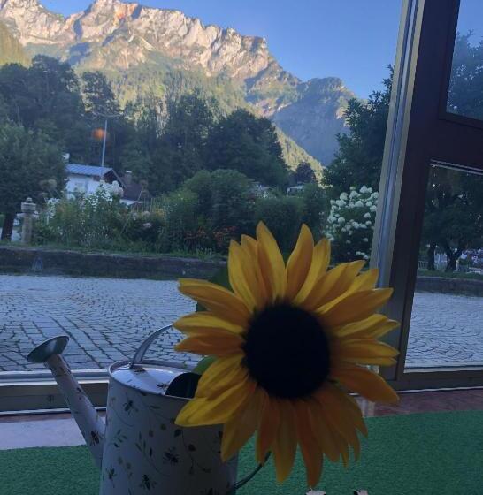 Pension Und Ferienwohnung Frech