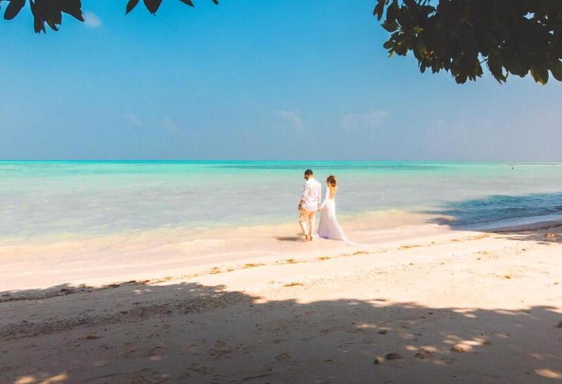 منتجع Tilar Siro Andamans   A Cgh Earth Experience