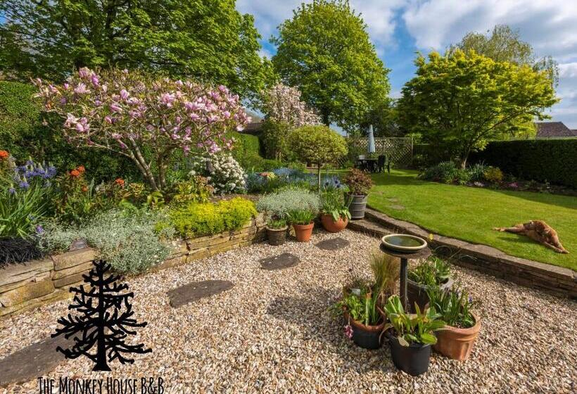 The Monkey House B&b