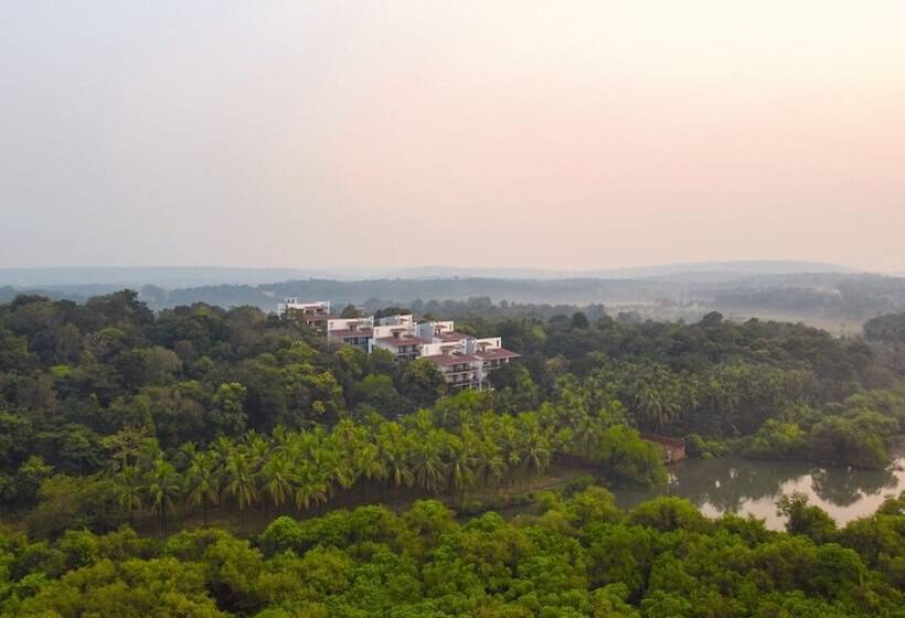 Amoravida By 7 Apple Resorts, Goa