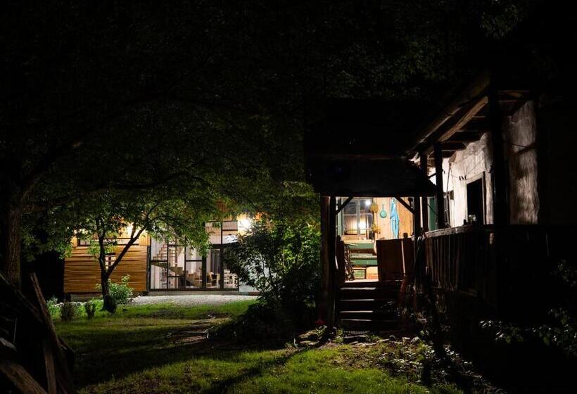 민박 Aster Panzió