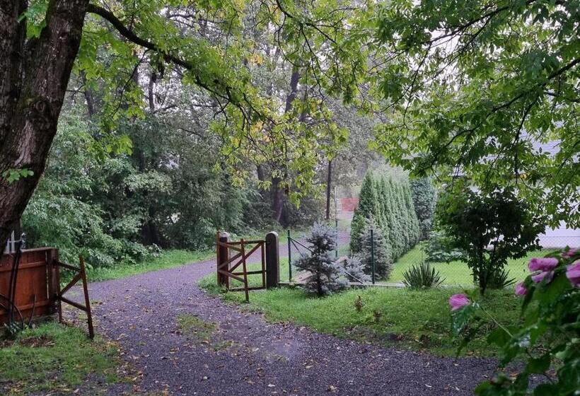 민박 Aster Panzió