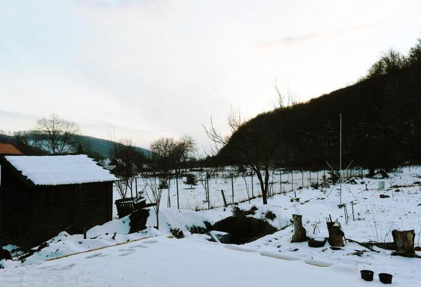 민박 Aster Panzió