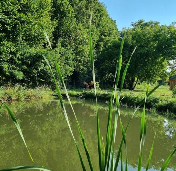 민박 Aster Panzió