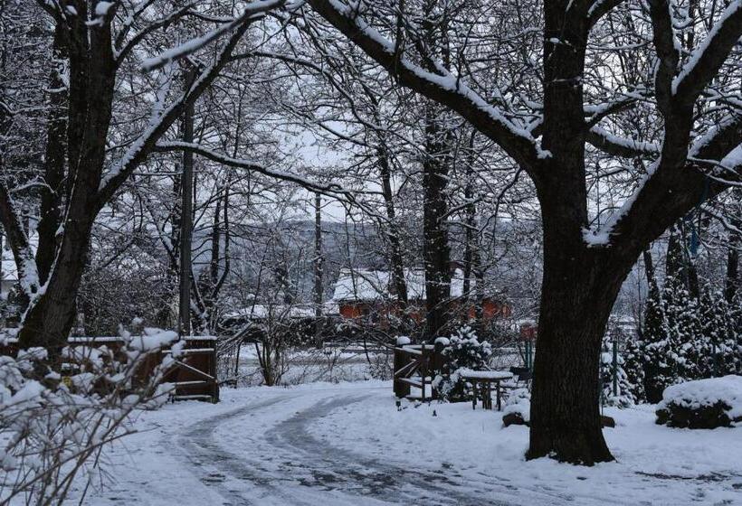 민박 Aster Panzió