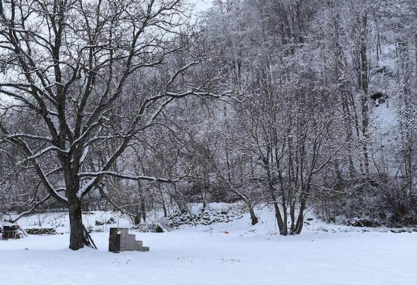 민박 Aster Panzió