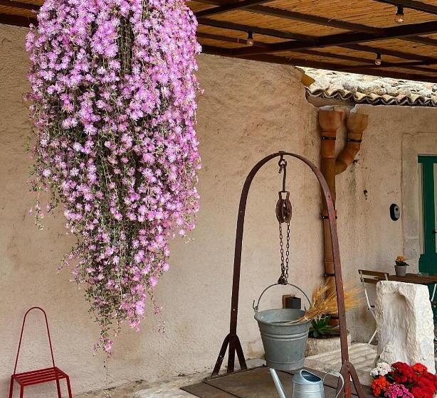 Bed and Breakfast Chiusa Del Curiale   Ospitalità In Vigna