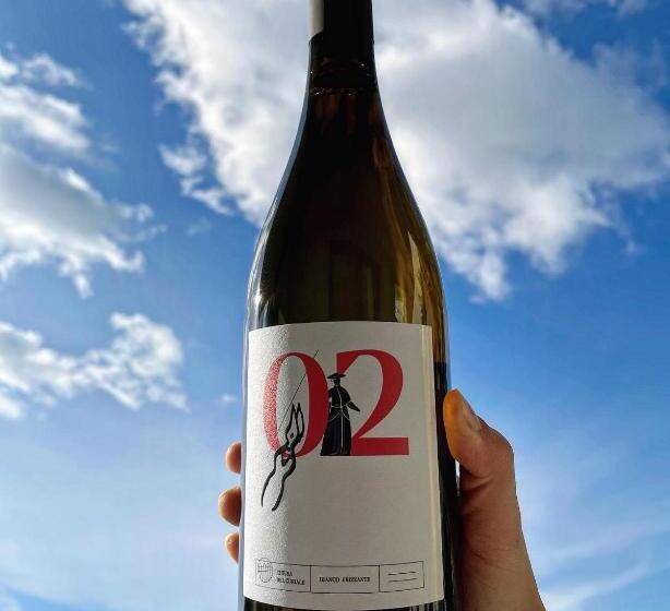 Bed and Breakfast Chiusa Del Curiale   Ospitalità In Vigna